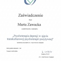 Powiększ obraz: certificate 8
