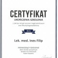 Powiększ obraz: certificate 7