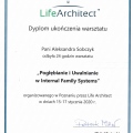 Powiększ obraz: certificate 8