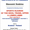 Powiększ obraz: certificate 10
