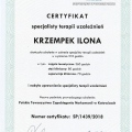 Powiększ obraz: certificate 1