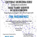 Powiększ obraz: certificate 13