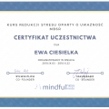 Powiększ obraz: certificate 6