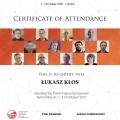 Powiększ obraz: certificate 16