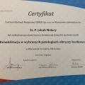 Powiększ obraz: certificate 6
