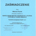 Powiększ obraz: certificate 11