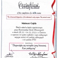 Powiększ obraz: certificate 3
