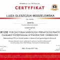 Powiększ obraz: certificate 23