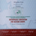 Powiększ obraz: certificate 4