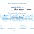 Powiększ obraz: certificate 11