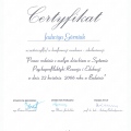 Powiększ obraz: certificate 9