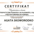 Powiększ obraz: certificate 15