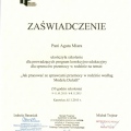 Powiększ obraz: certificate 3