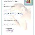 Powiększ obraz: certificate 8