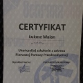 Powiększ obraz: certificate 32