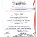 Powiększ obraz: certificate 2