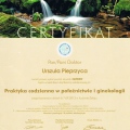 Powiększ obraz: certificate 19