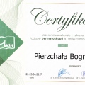 Powiększ obraz: certificate 19