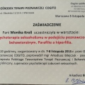 Powiększ obraz: certificate 3