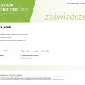 Powiększ obraz: certificate 43
