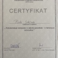 Powiększ obraz: certificate 3