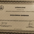 Powiększ obraz: certificate 2