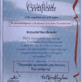 Powiększ obraz: certificate 3