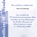 Powiększ obraz: certificate 7