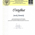 Powiększ obraz: certificate 1