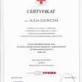 Powiększ obraz: certificate 4