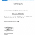 Powiększ obraz: certificate 13