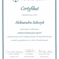 Powiększ obraz: certificate 17