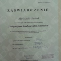 Powiększ obraz: certificate 3