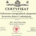 Powiększ obraz: certificate 9