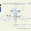 Powiększ obraz: certificate 13