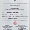Powiększ obraz: certificate 20