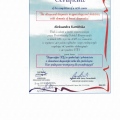Powiększ obraz: certificate 6