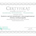 Powiększ obraz: certificate 22