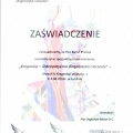 Powiększ obraz: certificate 14