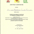 Powiększ obraz: certificate 46