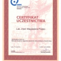 Powiększ obraz: certificate 9