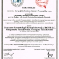 Powiększ obraz: certificate 4