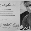 Powiększ obraz: certificate 1
