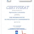 Powiększ obraz: certificate 2