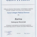 Powiększ obraz: certificate 3
