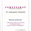 Powiększ obraz: certificate 13