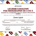 Powiększ obraz: certificate 10
