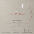 Powiększ obraz: certificate 13