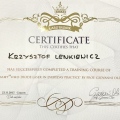 Powiększ obraz: certificate 1