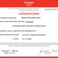 Powiększ obraz: certificate 2